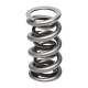 Deli motorja Manley Valve Spring 1.500 DOUBLE | race-shop.si