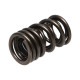 Deli motorja Manley Valve Spring HONDA F20C/F22C | race-shop.si