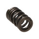 Deli motorja Manley Valve Spring HONDA F20C/F22C | race-shop.si