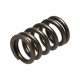 Deli motorja Manley Valve Spring NISSAN RB26DETT | race-shop.si