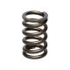 Deli motorja Manley Valve Spring NISSAN RB26DETT | race-shop.si
