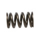 Deli motorja Manley Valve Spring NISSAN RB26DETT | race-shop.si