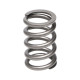 Deli motorja Manley Valve Spring SUBARU WRX | race-shop.si