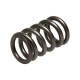 Deli motorja Manley Valve Spring DODGE SRT-4 | race-shop.si