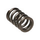 Deli motorja Manley Valve Spring DODGE SRT-4 | race-shop.si