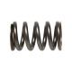 Deli motorja Manley Valve Spring DODGE SRT-4 | race-shop.si