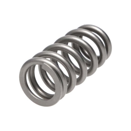 Deli motorja Manley Valve Spring FORD/MAZDA 2.3L | race-shop.si