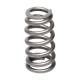 Deli motorja Manley Valve Spring FORD/MAZDA 2.3L | race-shop.si