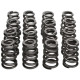 Deli motorja Manley Valve Spring/Retainer Kit Subaru WRX/STI | race-shop.si
