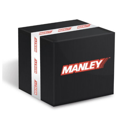 Deli motorja Manley Valve Spring 1449 POLISHED | race-shop.si