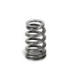 Deli motorja SUPERTECH Valve Spring Kit BMW S65 | race-shop.si