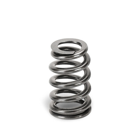 Deli motorja SUPERTECH Valve Spring Kit BMW S65 | race-shop.si