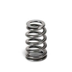 SUPERTECH Valve Spring Set BMW B48/Ford 2.0/2.3 EcoB 72lbs
