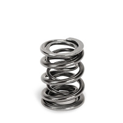 SUPERTECH Valve Spring Set Ford/Opel/Mits/Ren/Nis