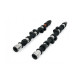 Deli motorja Piper Camshaft Peugeot/Citroen 2.0L 16v XU10J4RS Fast Road | race-shop.si