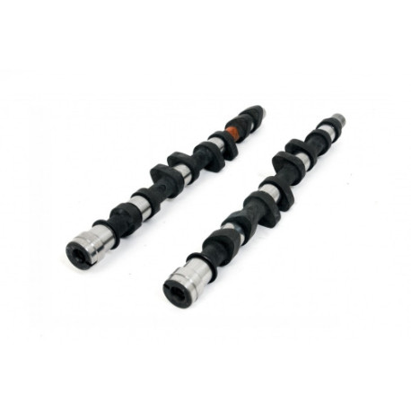 Deli motorja Piper Camshaft Peugeot/Citroen 2.0L 16v XU10J4RS Fast Road | race-shop.si