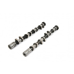Piper Camshaft Mitsubishi 4B11T Evo 10 Ultimate Road
