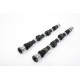 Deli motorja Piper Camshaft Nissan SR20DE(T) Ultimate Road | race-shop.si
