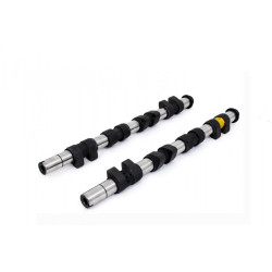 Piper Camshaft Renault 1.8L 16v F7P Clio Williams Rally