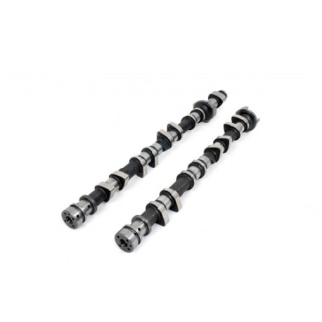 Deli motorja Piper Camshaft Ford 2.0L EcoBoost Rally | race-shop.si