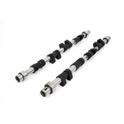 Piper Camshaft Peugeot/Citroen 1.9L 16v XU9J4 Ultimate Road