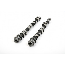 Piper Camshaft Ford 1.6L 16v TI-VCT Sigma Fast Road
