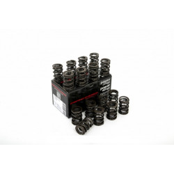 Piper Double Valve Springs Toyota 2.0 16v 3SGE/3SGTE
