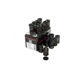 Piper Double Valve Springs Inc Caps Opel X14XE/X16XE