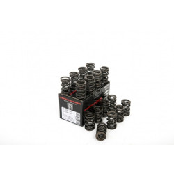 Piper Double Valve Springs Ford 2.0L YB