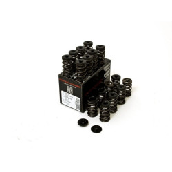 Piper Double Valve Spring Kit Sub FA20/Toy 4U-GSE
