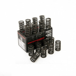 Piper Double Valve Spring Kit Ford 2.3L Ecoboost