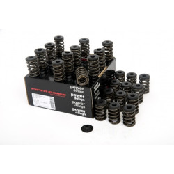 Piper Double Valve Springs Jaguar XJ6 3.8/4.2L 6-Cyl