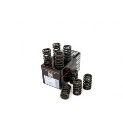 Piper Double Valve Springs BMC A Series