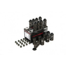 Piper Double Valve Spring Kit Ford 1.8/2.0 16v Zetec Blk Top