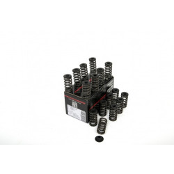 Piper Single Valve Spring Kit Inc Caps Opel B16LES/Z16LER