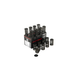 PIPER CAMS komplet ventilskih vzmeti za Ford 1.8/2.0/2.3L 16v Duratec (enojne)