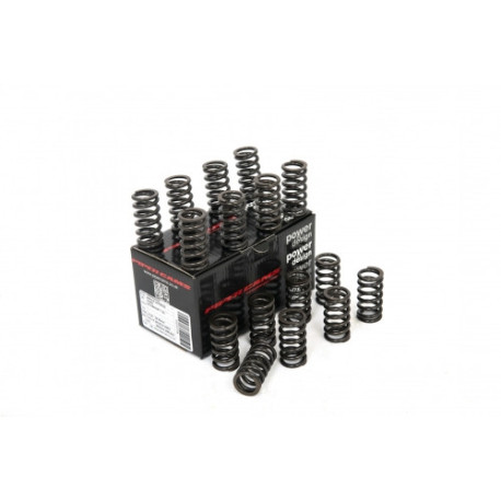 Deli motorja Piper Single Valve Springs Ford 1.6L Ecoboost | race-shop.si