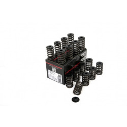 Piper Single Valve Spring Kit Ford 2.0L Ecoboost