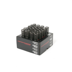 Piper Single Valve Spring Kit Jaguar JAGUAR 3.0 V6