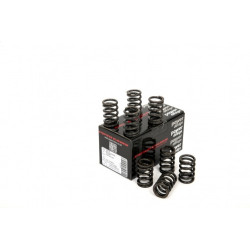 Piper Single Valve Springs Triumph 1.2/1.3/1.5 4-Cyl