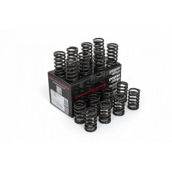 Piper Single Valve Springs Ford 2.0L 16v RS2000 N7A