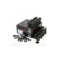 Piper Single Valve Spring Kit Ford 2.5L 20v - ST/RS