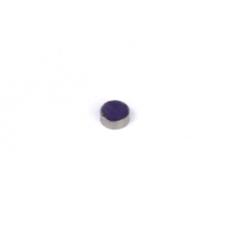 Motec Haltech Rare Earth Magnets (5mm DIA x 2mm H) | race-shop.si