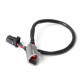 Haltech Haltech CAN Ada Cable DTM-4 F to 8 pin Black Tyco 75mm (3") | race-shop.si