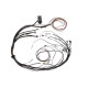 Haltech Haltech Elite 1000/1500 Maz 13B EV1 Term Main Harn Only No S | race-shop.si