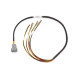 Haltech Haltech Elite 1000/1500 Maz13B Term Fly Lead Ign Harn Only N | race-shop.si