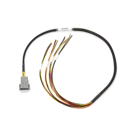 Haltech Haltech Elite 1000/1500 Maz13B Term Fly Lead Ign Harn Only N | race-shop.si