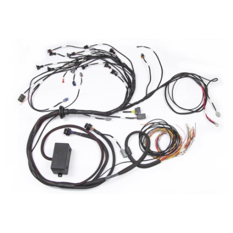 Haltech Haltech E2000/2500 RB Terminated Engine Harness Only | race-shop.si
