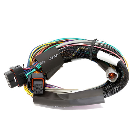 Haltech Haltech Elite 1500 - 2.5m (8 ft) Basic Uni Wire-in Harn Only | race-shop.si