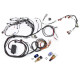 Haltech Haltech RB Twin CAM Main Harn, CAS Breakout, Early Ignition | race-shop.si